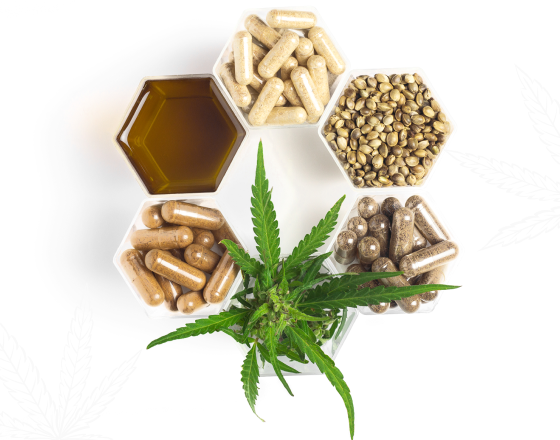Grow Shop - Venta CBD Online