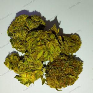 SKUNK CBD