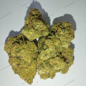 WATER MELON CBD