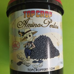 Amino Perlas Top Crop