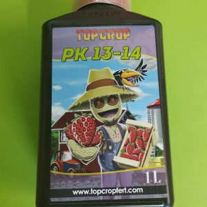 Top Crop PK 13-14