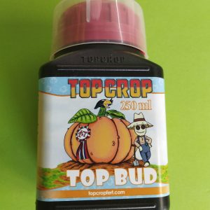 Top Crop Top Bud