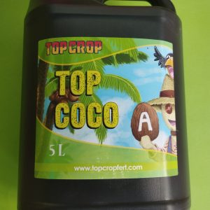 Top Crop Top Coco A+ Top Coco B