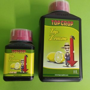 Top Crop Top Lemon