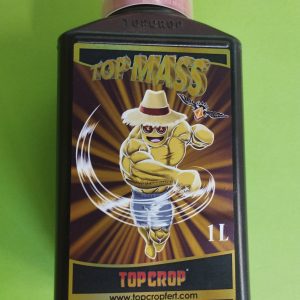 Top Crop top Mass