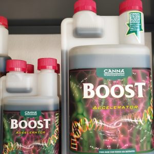 Boost accelerator
