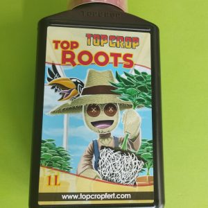 Top Crop Top Roots