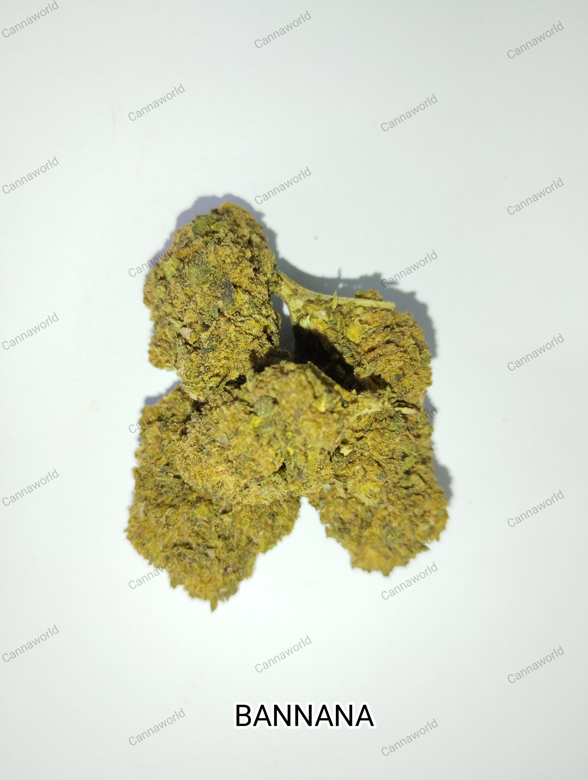 Bannana CBD - Flor CBD