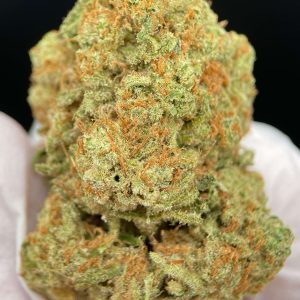 AMNESIA HAZE
