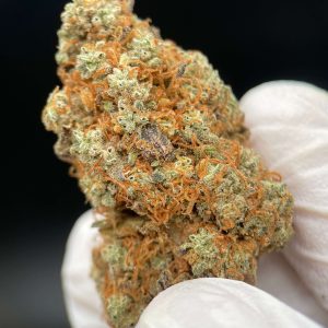 BLUEBERRY CBD - Flor CBD