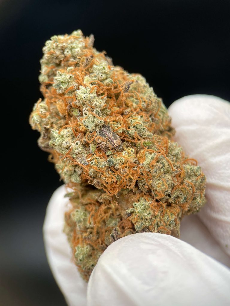 BLUEBERRY CBD - Flor CBD