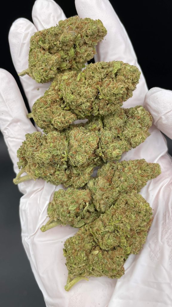 BUBBLEGUM CBD - Flor CBD