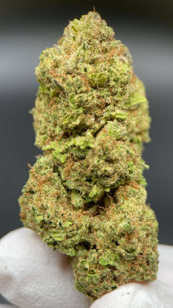 BUBBLEGUM CBD