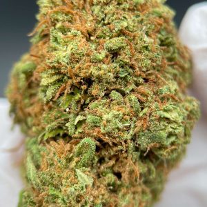 BUDHA CARAMEL