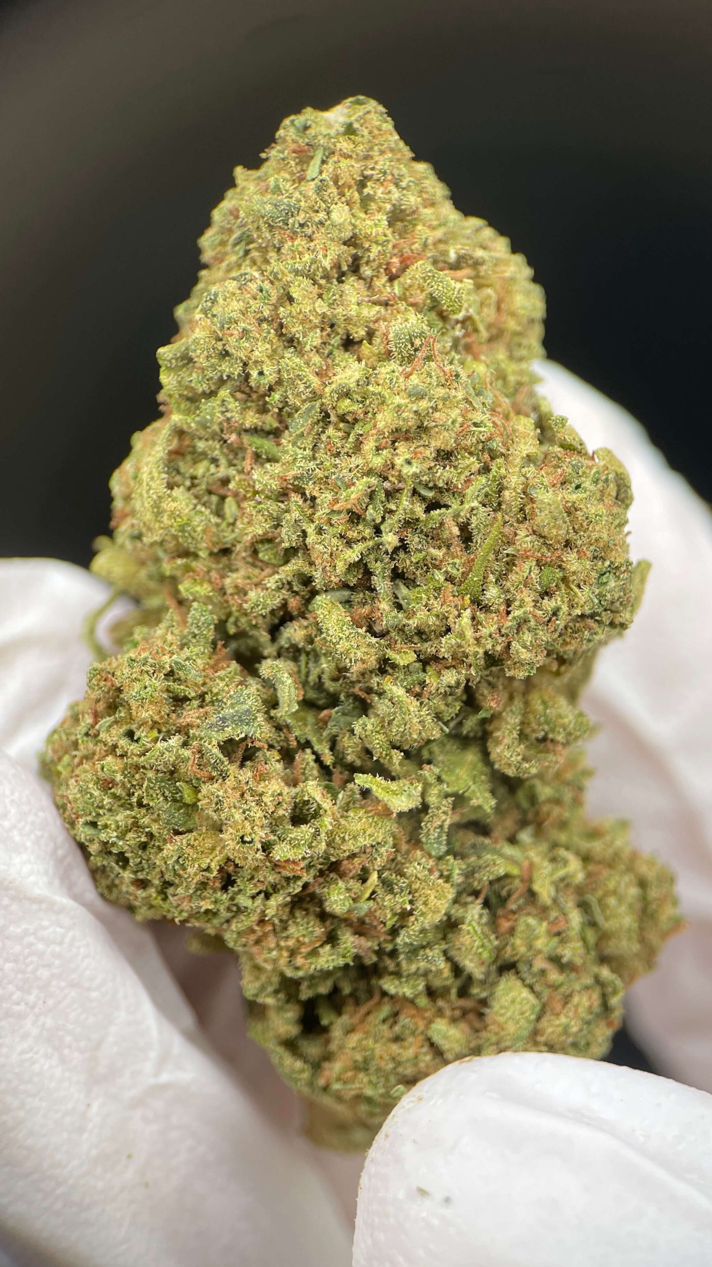 Fruit Cake CBD - Flores Orgánicas con 5.47% CBD