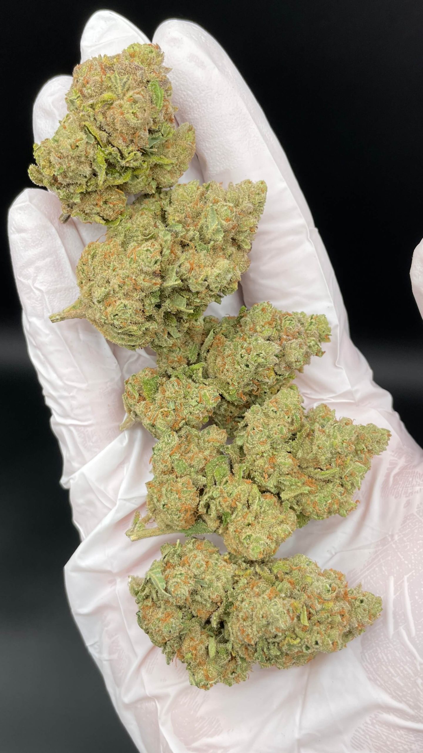 GLOOKIES CBD - Imagen 2