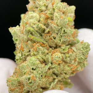 GLOOKIES CBD