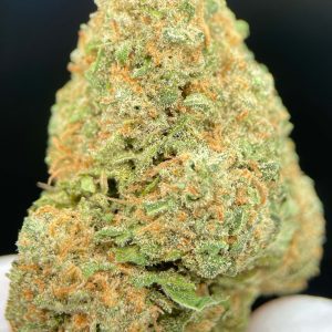 GORILLA GLUE