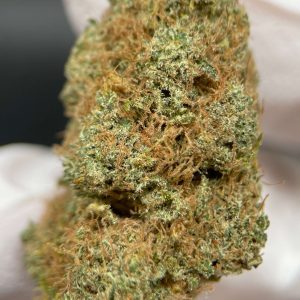 JET FUEL GELATO
