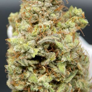 MOONSHINE CBD