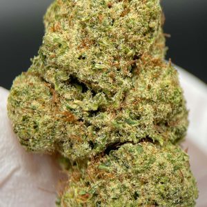 ORANGE SHERBERT