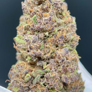 PURPLE PUNCH