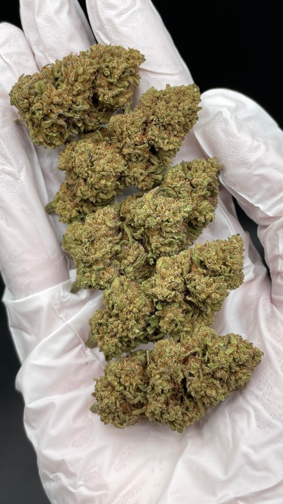 ROYAL CHEESE Flores CBD