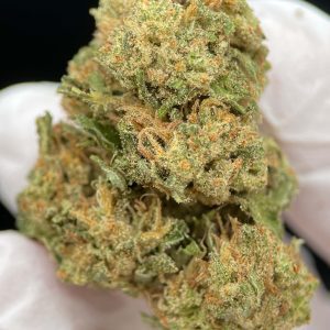 WHITE MELON