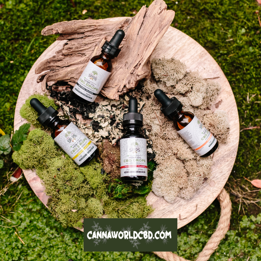 CBD: Cómo Tomarlo Correctamente