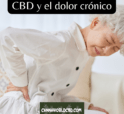 CBD y dolor crónico: cómo puede ayudarte a aliviar el malestar diario