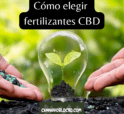 Cómo elegir los mejores fertilizantes Canna CBD