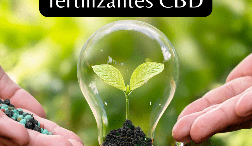Cómo elegir los mejores fertilizantes Canna CBD